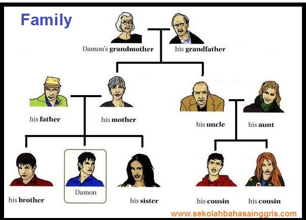 33 Vocabulary Family Tree : Kosa Kata Keluarga Dalam Bahasa Inggris