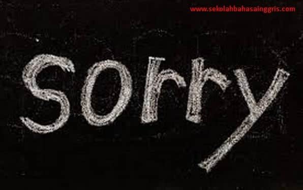 Contoh Percakapan Atau Dialog Singkat Expressing Apologize 